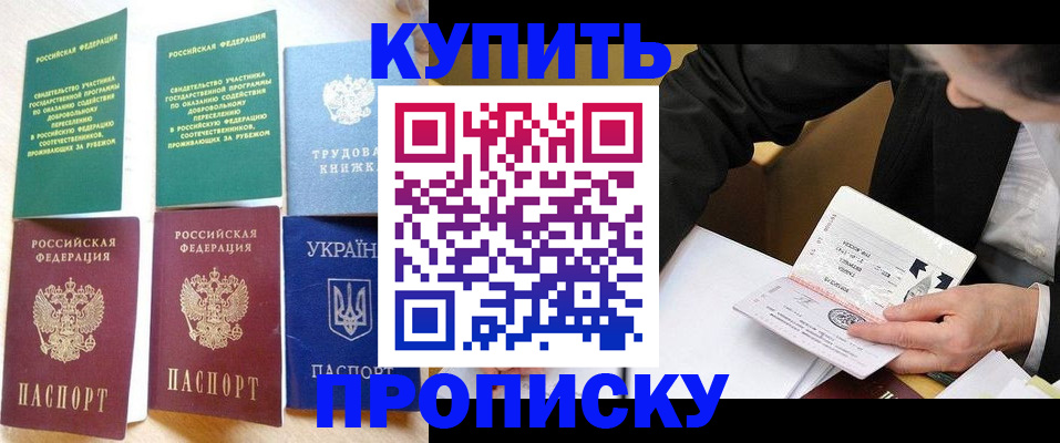 прописка для школы в Липецке